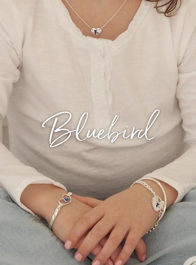 Bluebird of Happiness Jewellery