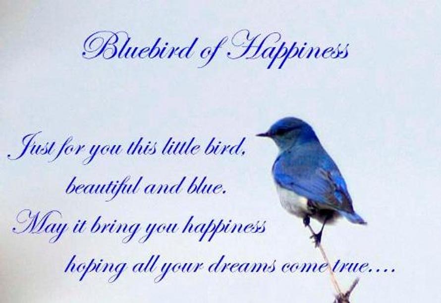 Free Gift Folded Bluebird of Happiness
