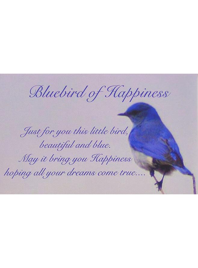 Bluebird of Happiness Heart Photo Locket