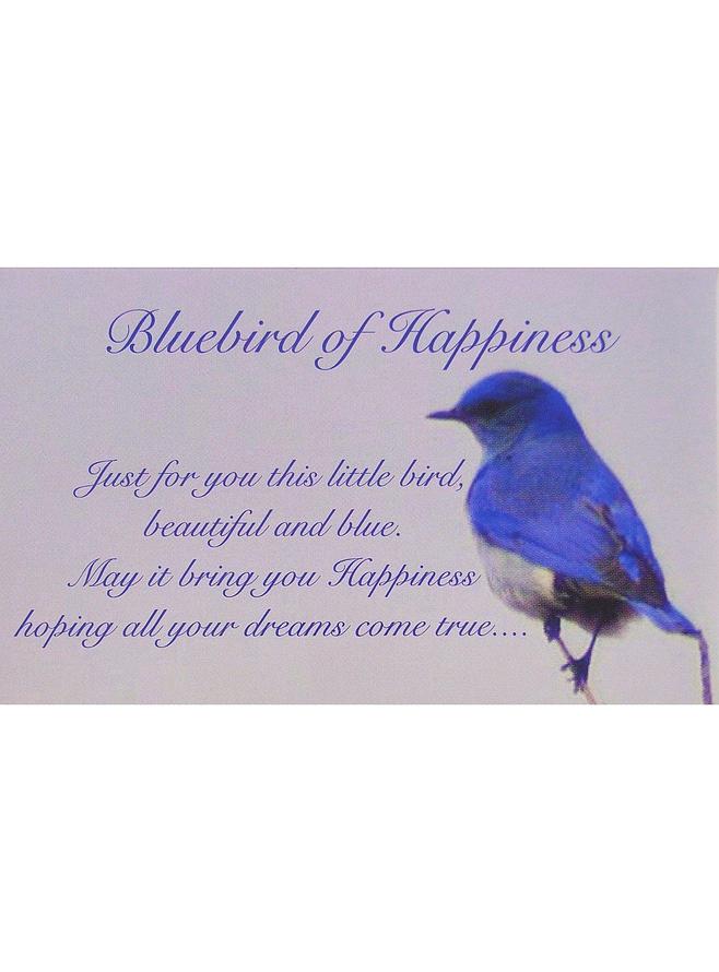 Bluebird of Happiness Belcher Padlock Bracelet in Rose