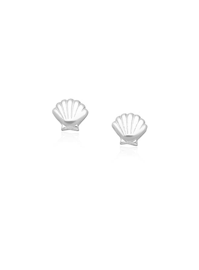 Small Sea Shell Stud Earrings in Sterling Silver