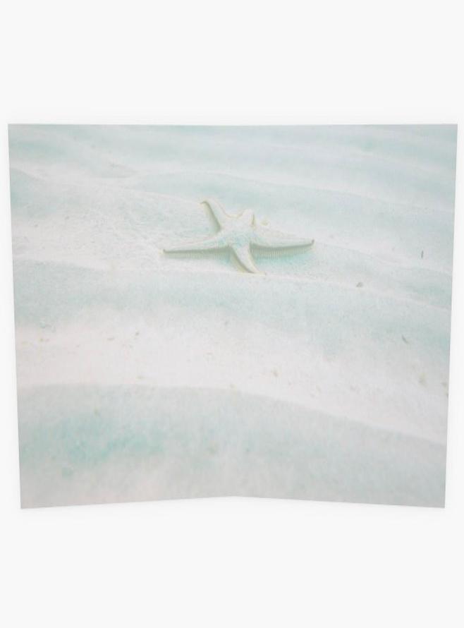 Ocean Starfish Greeting Gift Card
